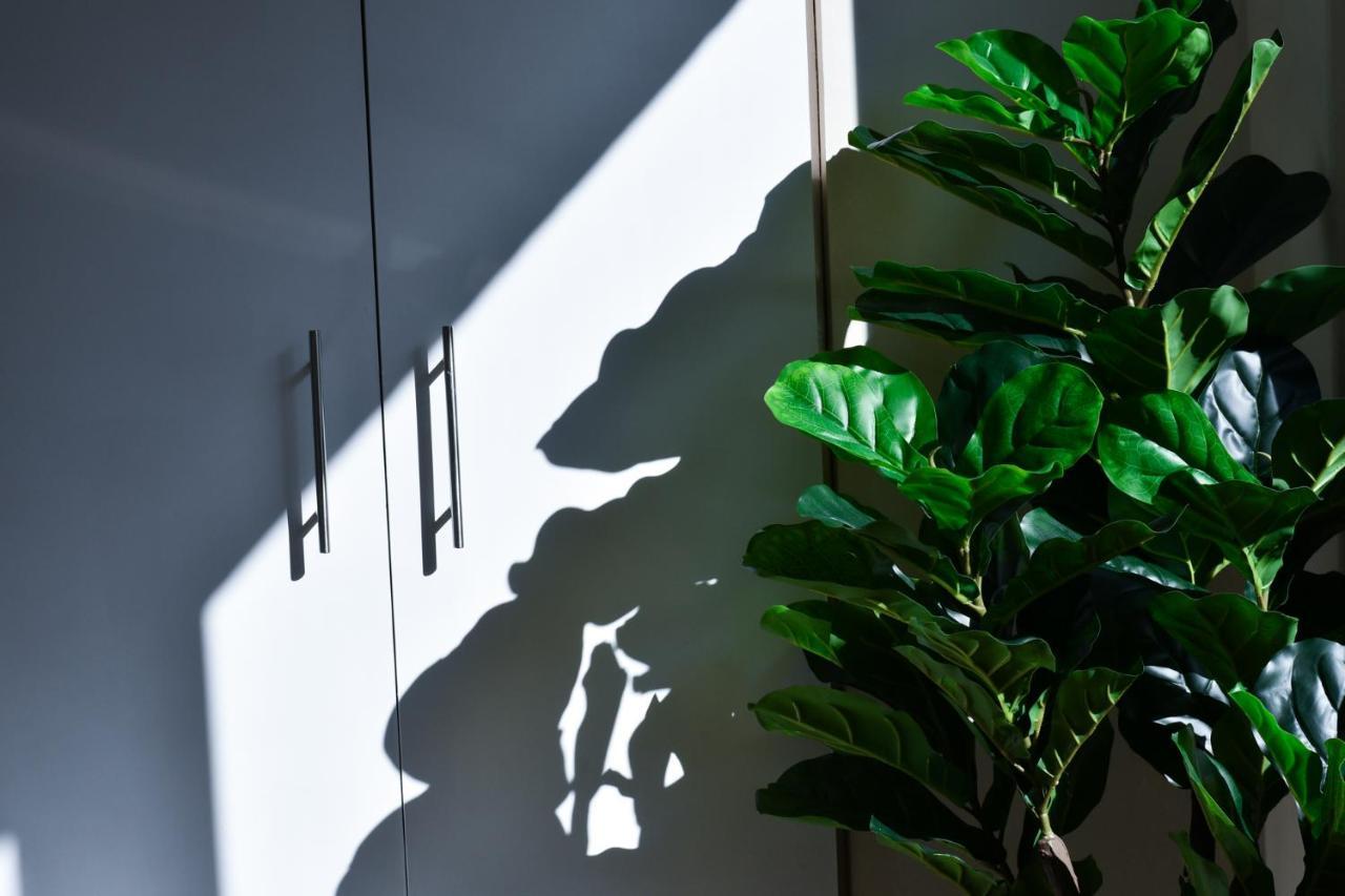Hotel Celta ヴィーゴ エクステリア 写真